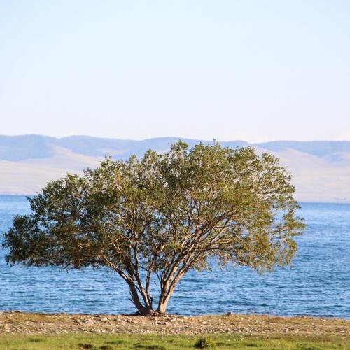 Photo #13670217