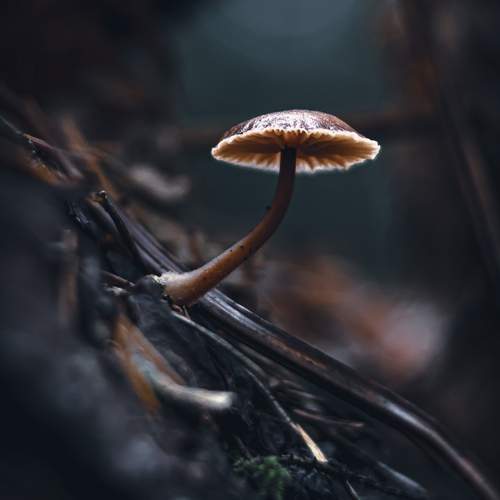 Photo #13670220