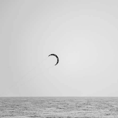 Photo #13670246