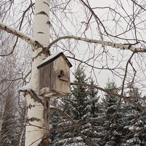 Photo #13670308