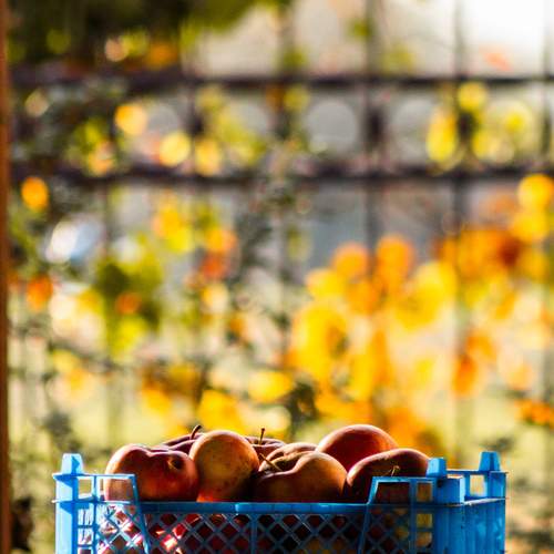 Photo #13670343