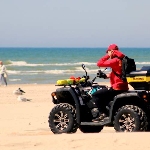 Photo #13670482