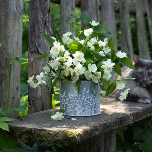 Photo #13670541