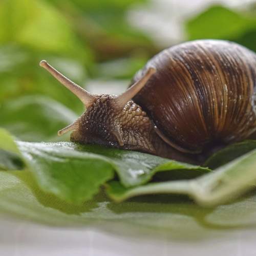 Photo #13670708