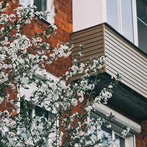 Photo #13670773