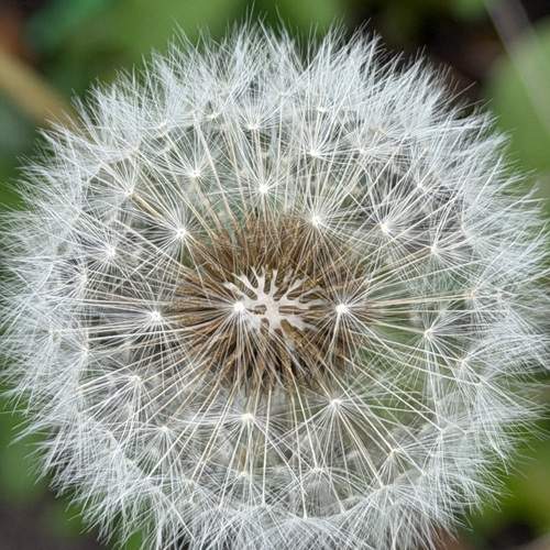 Photo #13670816