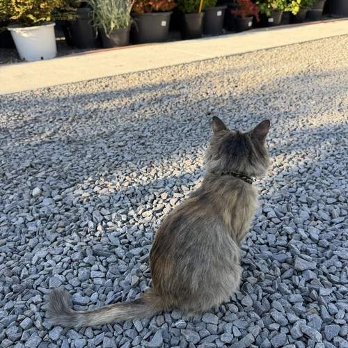 Photo #13670827