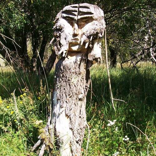 Photo #13670842