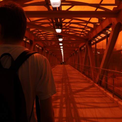 Photo #13670867
