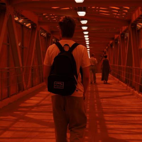 Photo #13670891