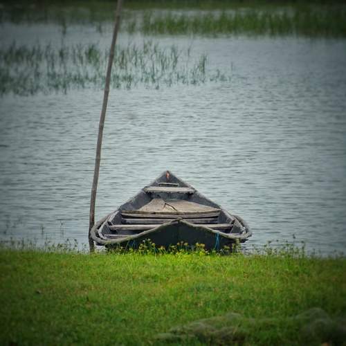 Photo #13670902