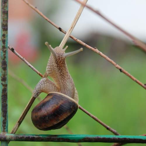Photo #13670992