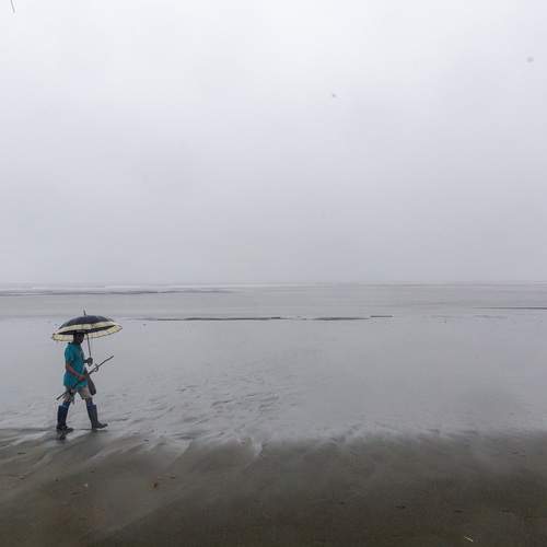 Photo #13671119
