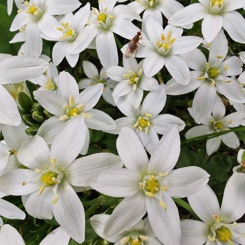Photo #13671140