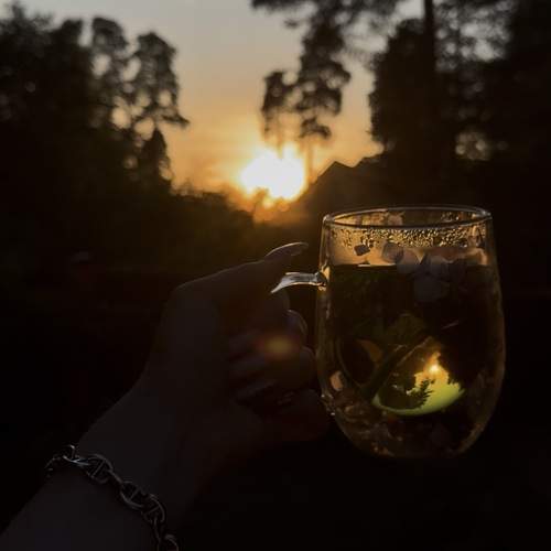 Photo #13671187