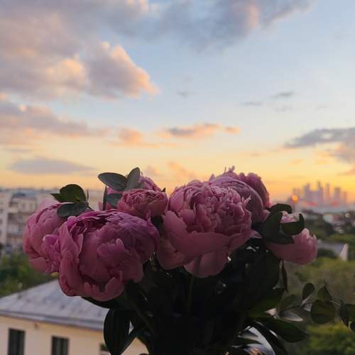 Photo #13671192