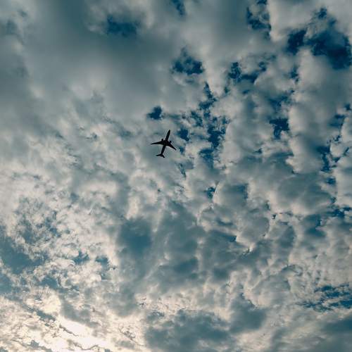 Photo #13671203