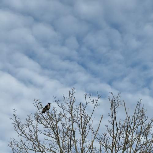 Photo #13671210