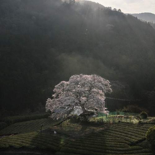 杉山 皓太郎