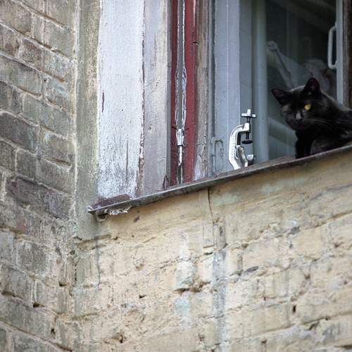 Photo #13671308