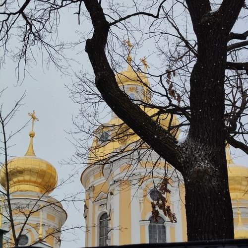 Photo #13671749