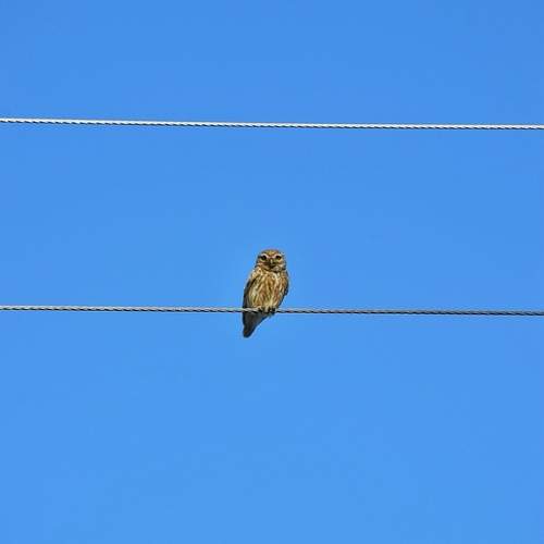 Photo #13671909