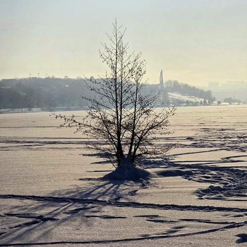 Photo #13671937