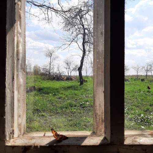 Photo #13671947