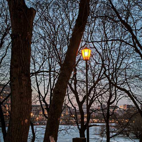 Photo #13672133