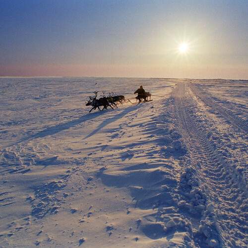 Photo #13672311