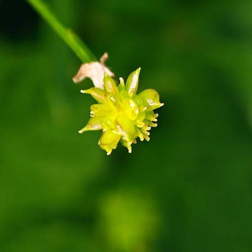 Photo #13672326