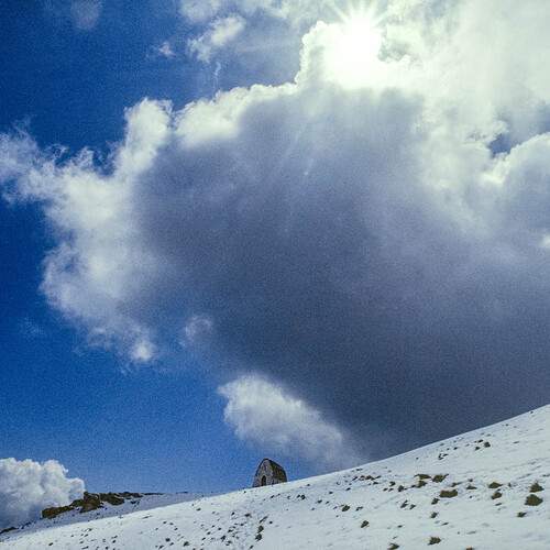 Photo #13672344