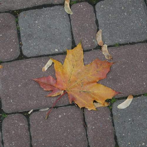 Photo #13672380