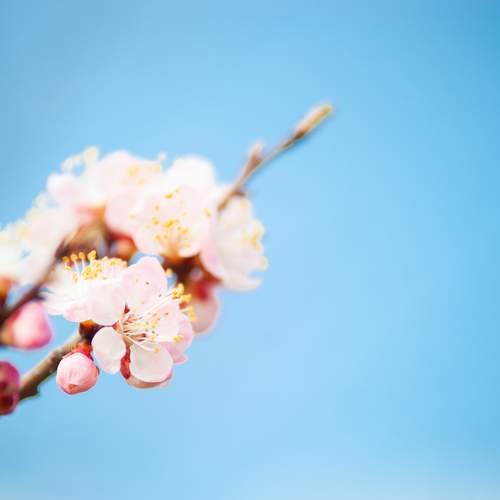 Photo #13672395