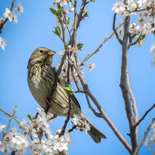 Photo #13672458