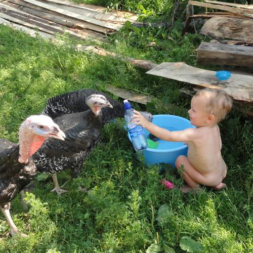 Photo #13672479