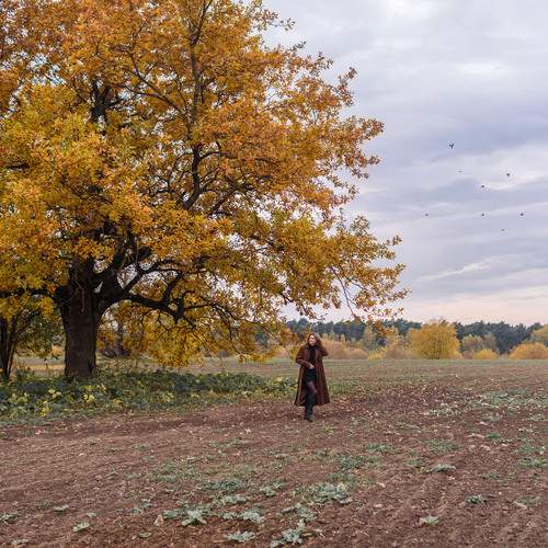 Photo #13672568