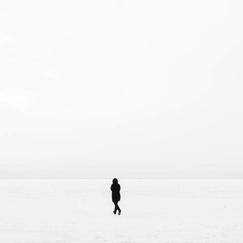 Photo #13672593
