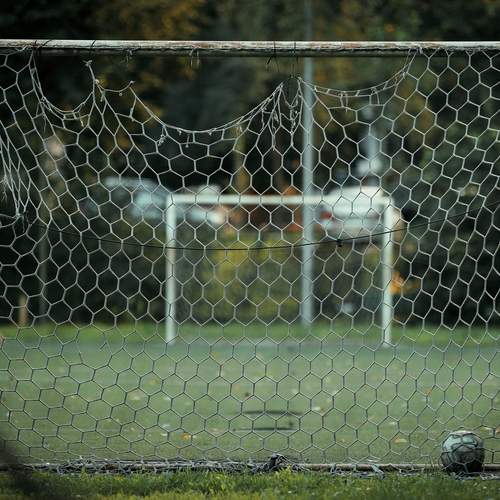 Photo #13672614