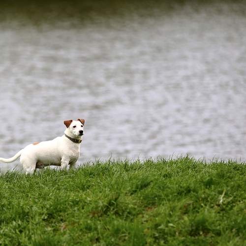 Photo #13672623