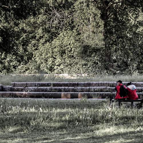 Photo #13672671