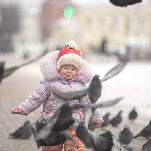 Photo #13672700