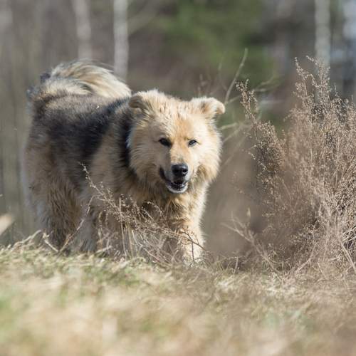 Photo #13672721