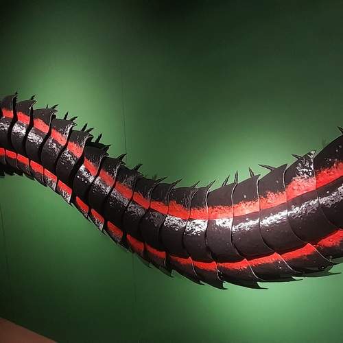 Photo #13672764