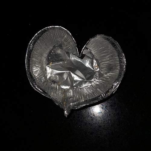 Photo #13672770