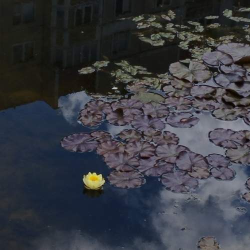 Photo #13672771