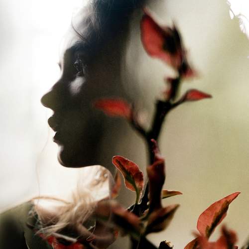 Photo #13672872