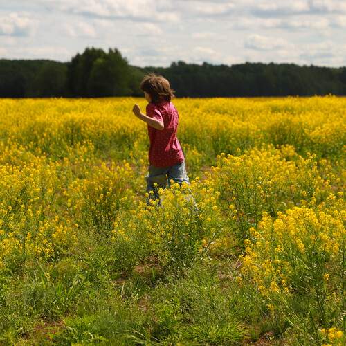 Photo #13672886
