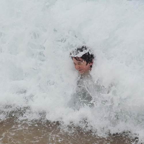 Photo #13672893