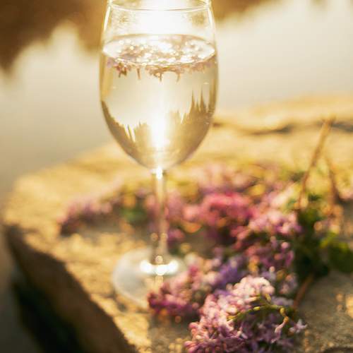 Photo #13672929